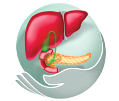 Slider image (1) Liver Transplant Center India